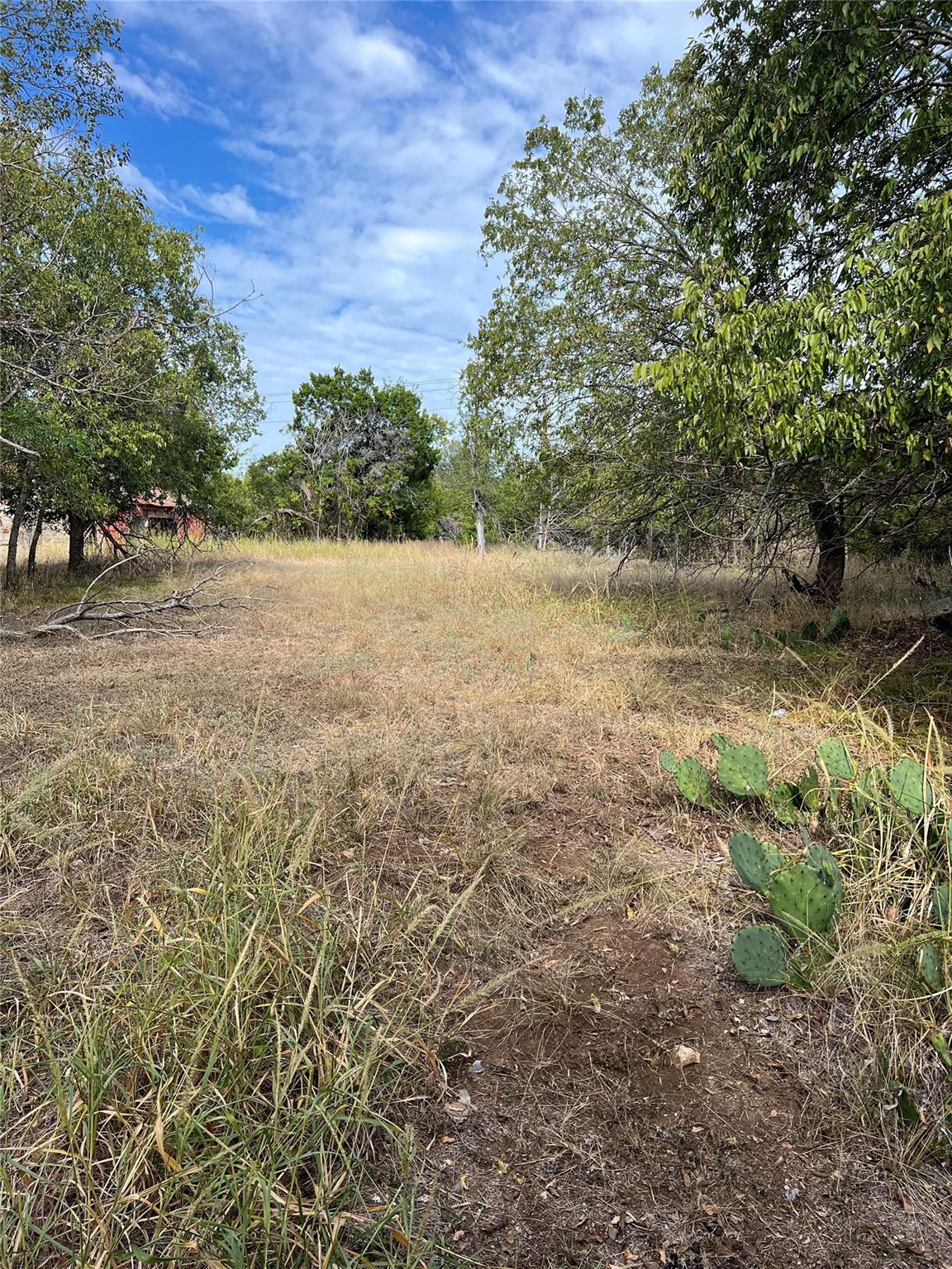 TBD County Road 202, Liberty Hill