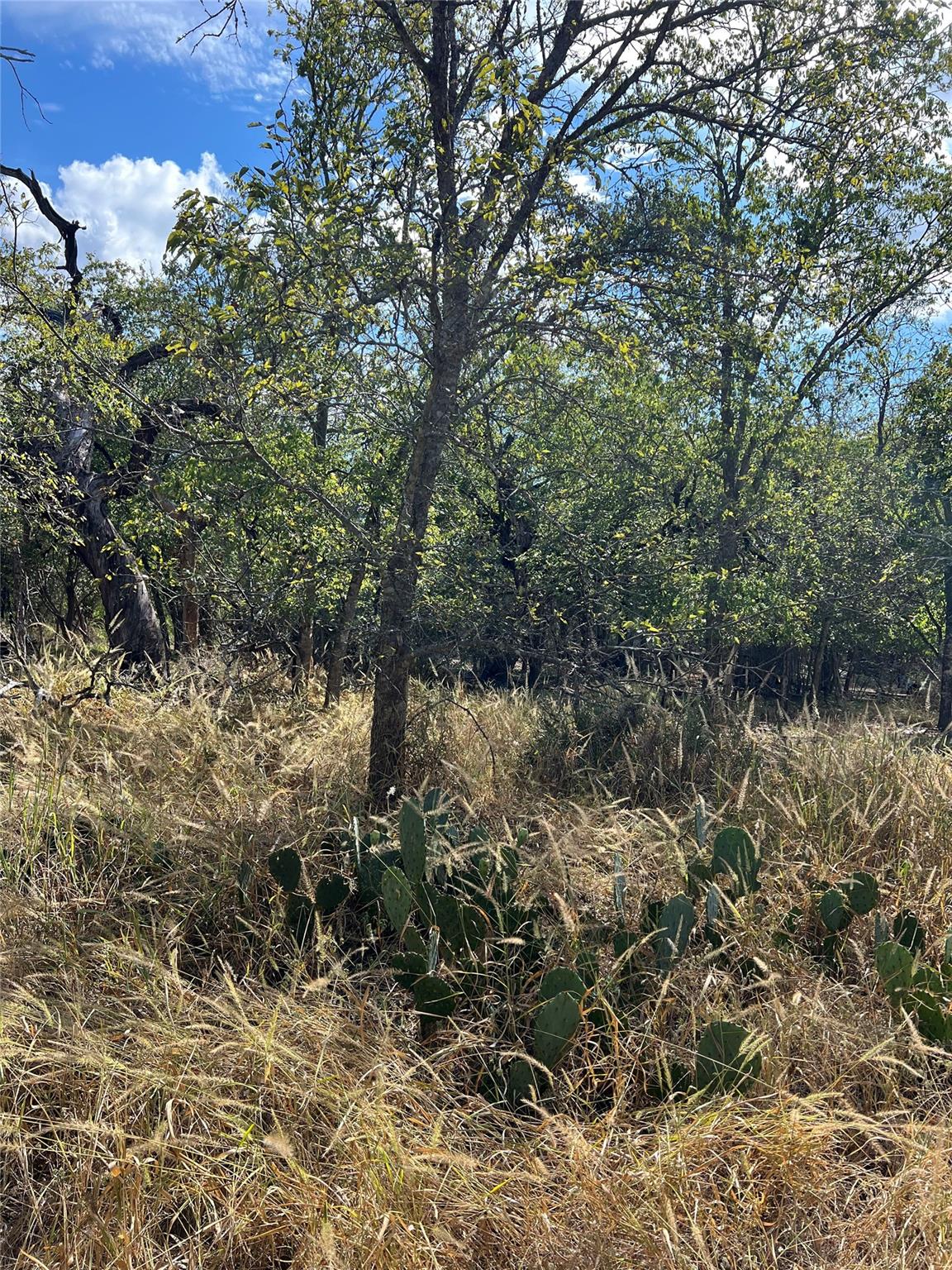 TBD County Road 202, Liberty Hill