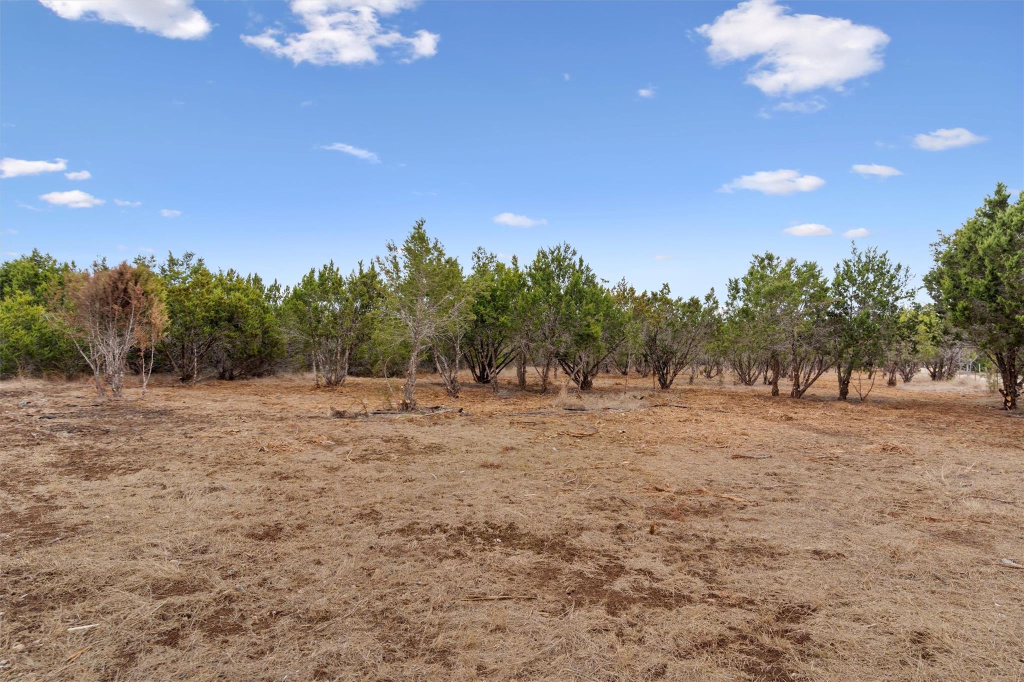 TBD County Road 202, Liberty Hill