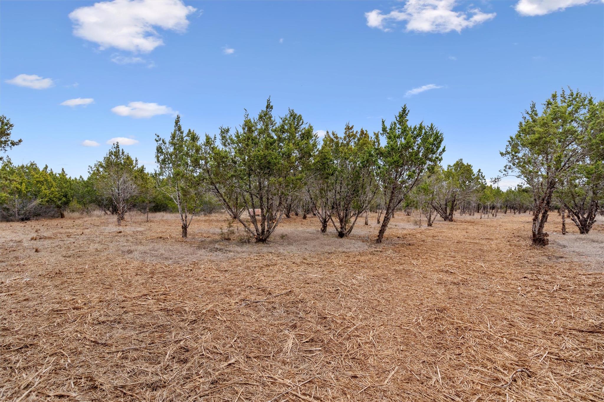 TBD County Road 202, Liberty Hill