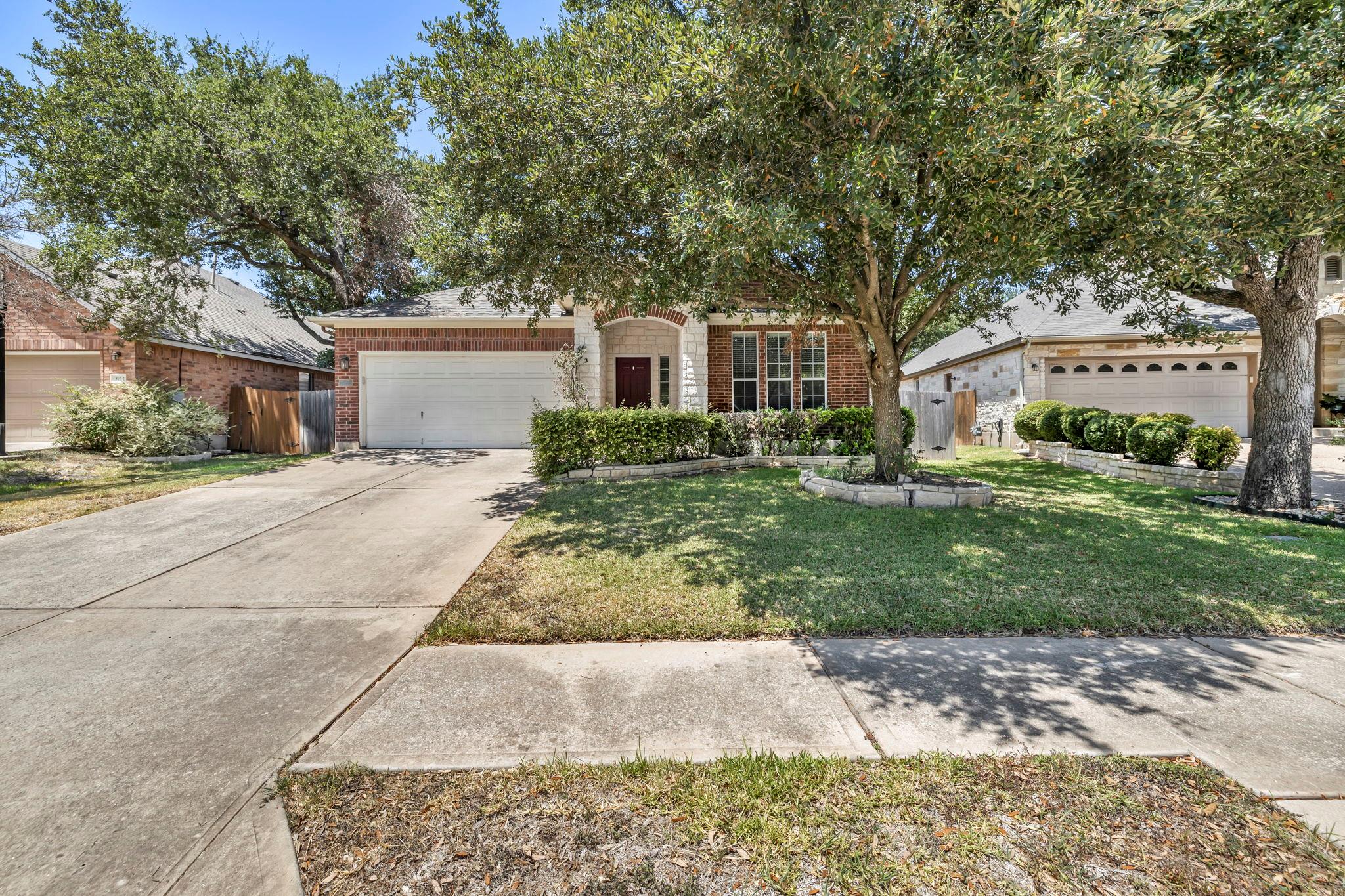 3748 Pine Needle CIR