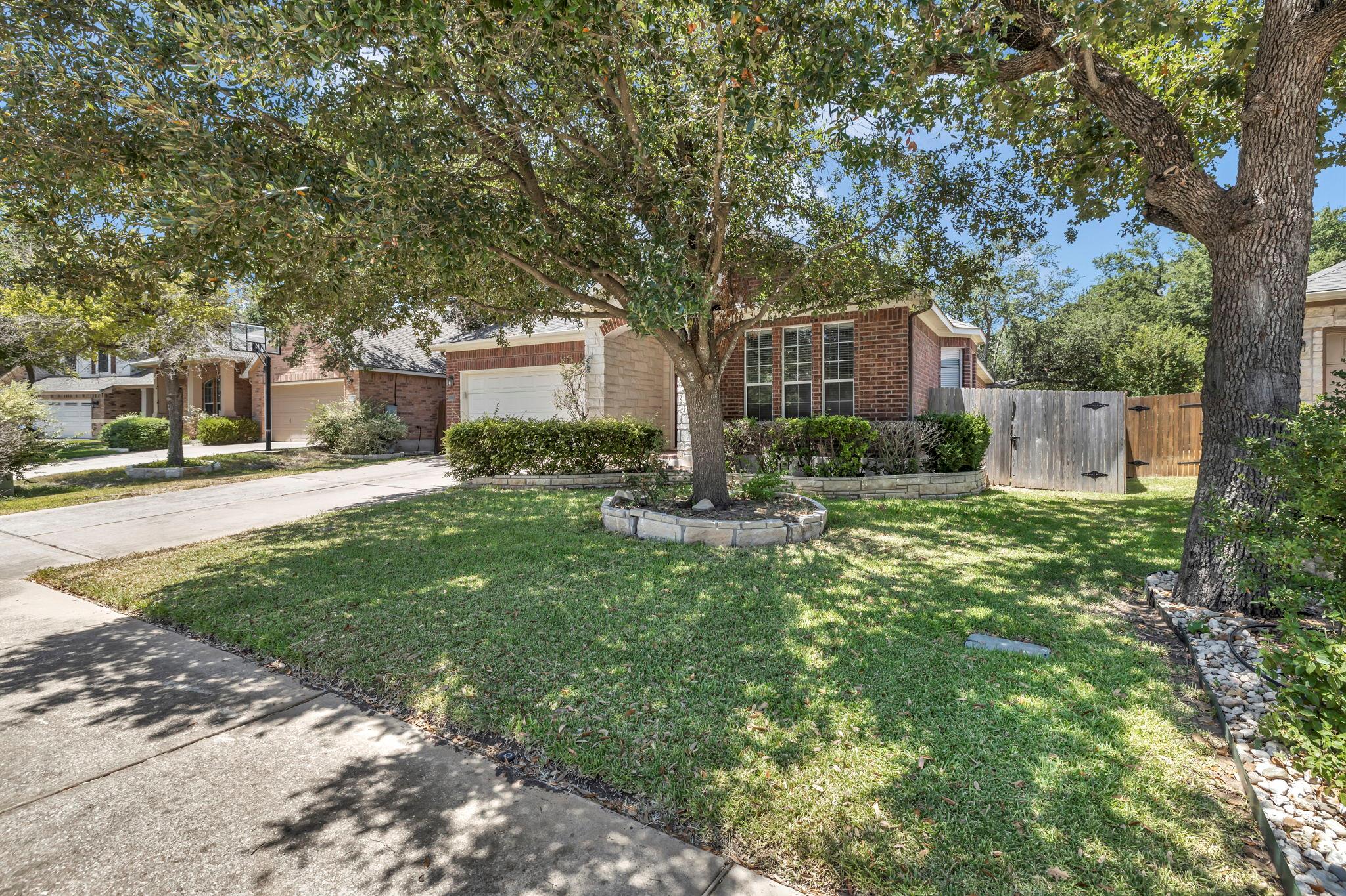 3748 Pine Needle CIR