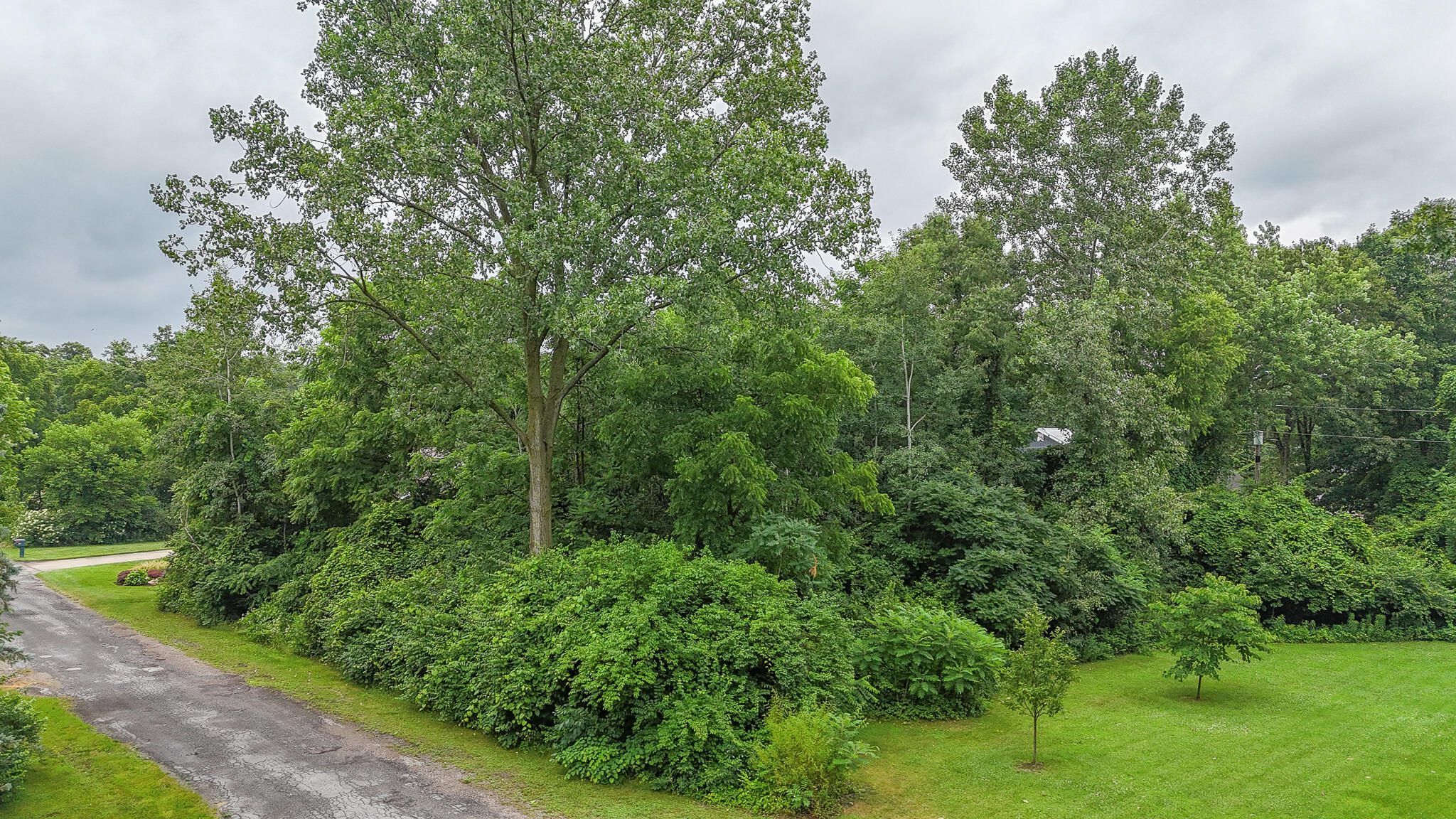 1677 Park Drive