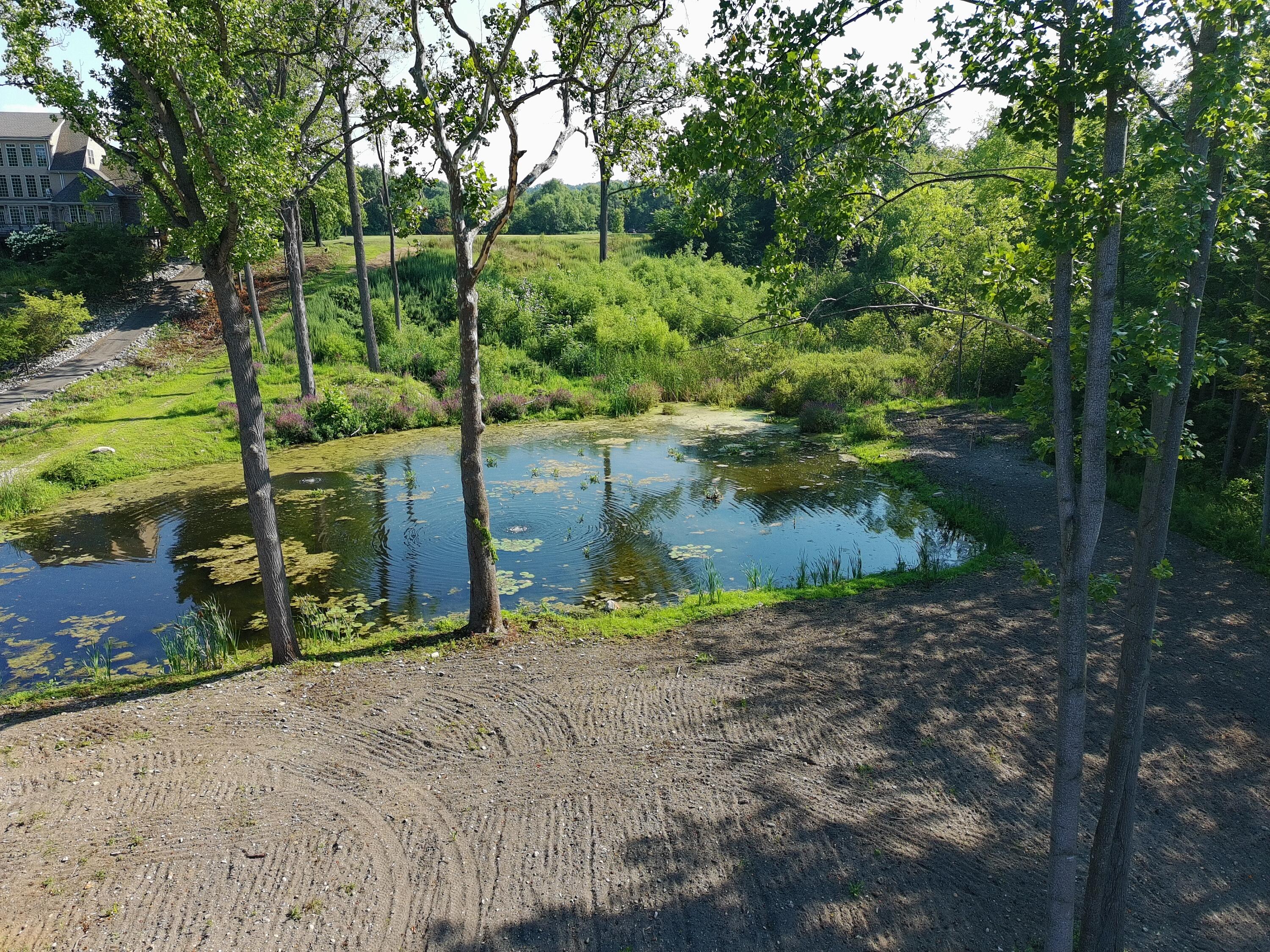 4567 Lake Pines Drive