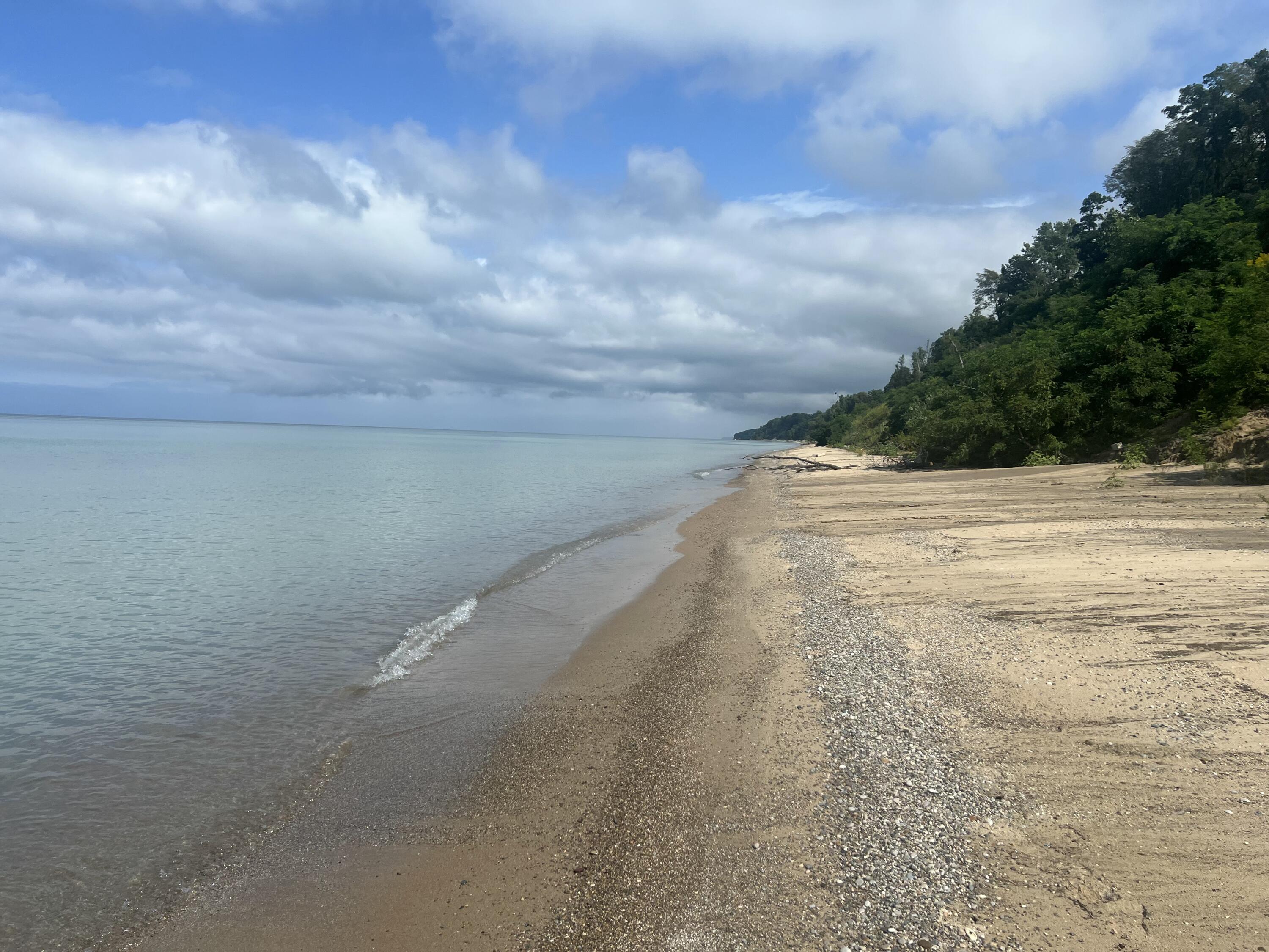 Sandy, pebbled beach beside calm water, with a wooded shoreline curving into the distance.