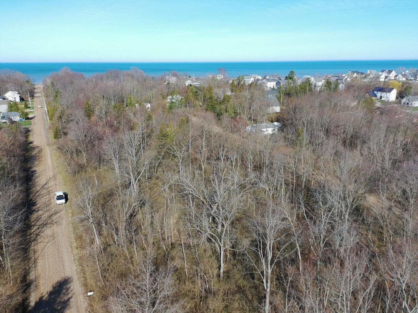 Aerial view of wooded land beside a dirt road, with neighborhood homes and Lake Michigan in the distance.