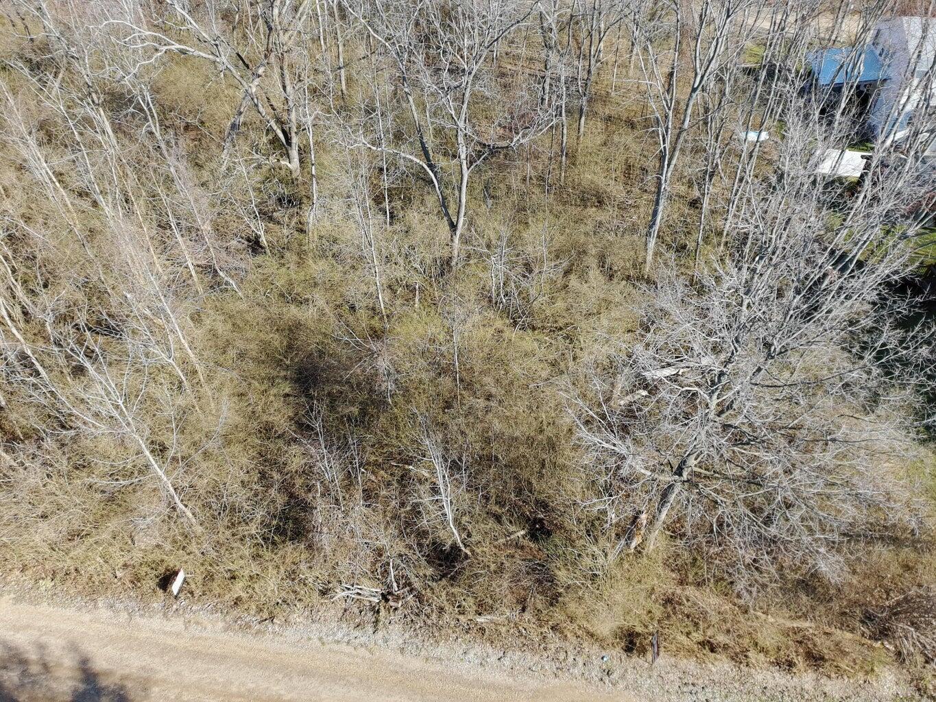 Aerial view of a wooded vacant lot bordered by a gravel road, with leafless trees and brush.