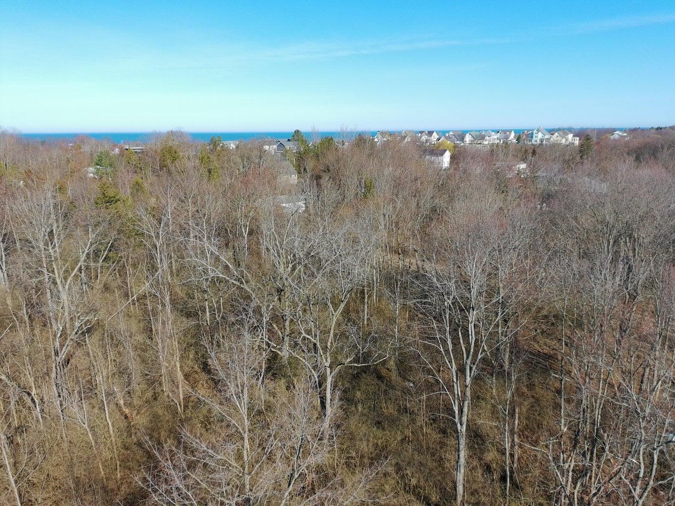 Aerial view of wooded land with Lake Michigan and homes in the distance.