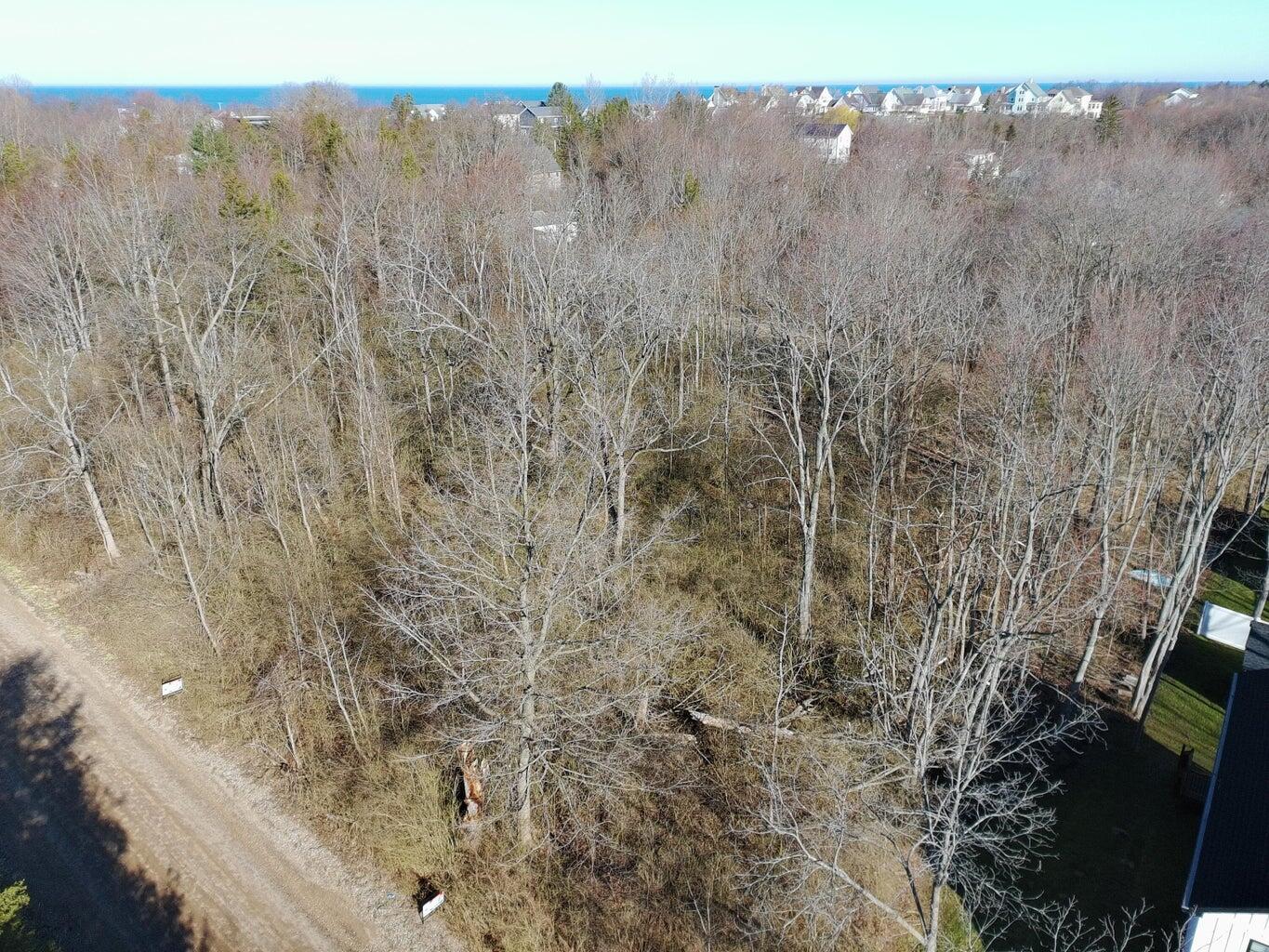 Aerial view of a wooded vacant lot beside a road, with water visible beyond nearby homes.