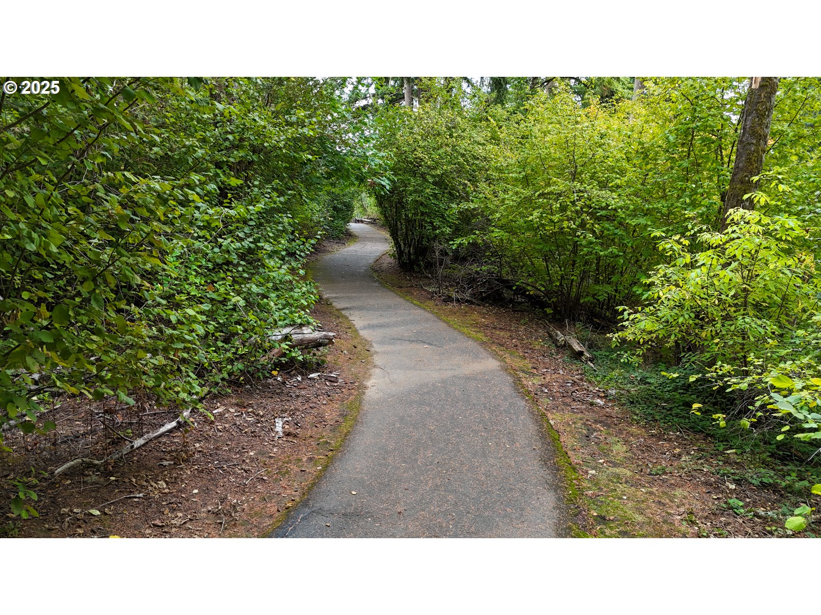 22848 SW FOREST CREEK DR 200