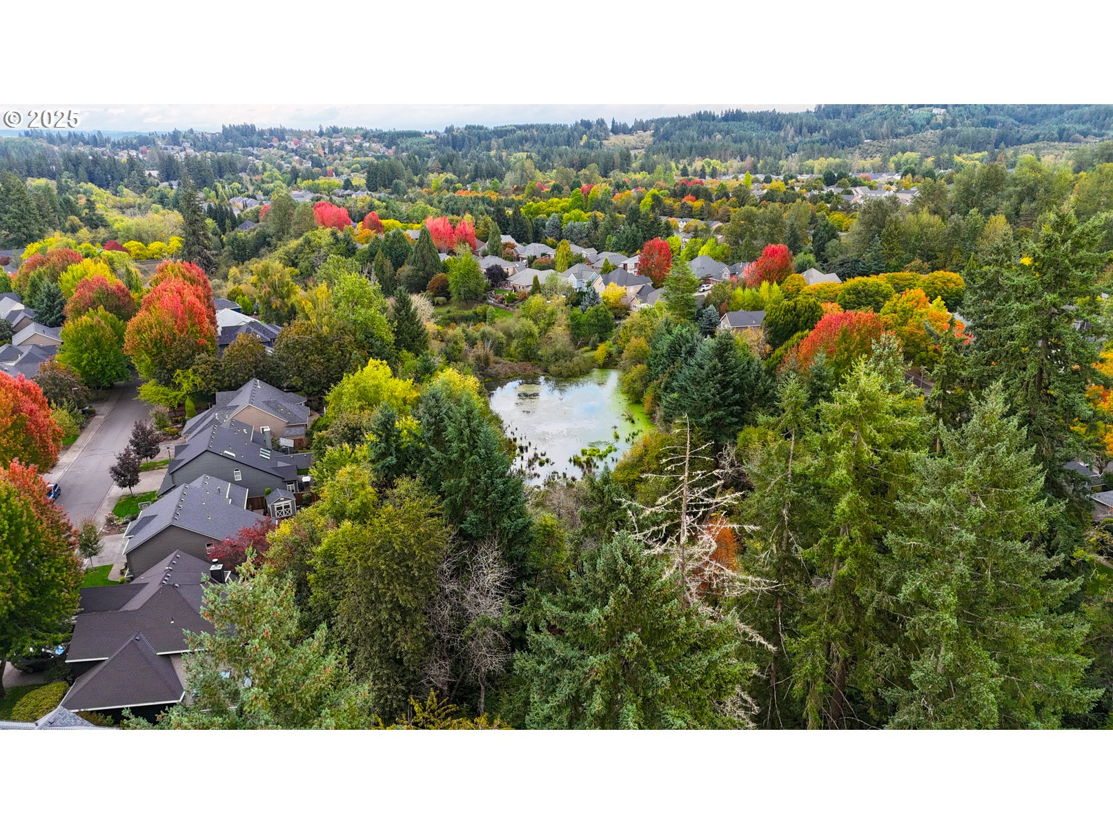 22848 SW FOREST CREEK DR 200