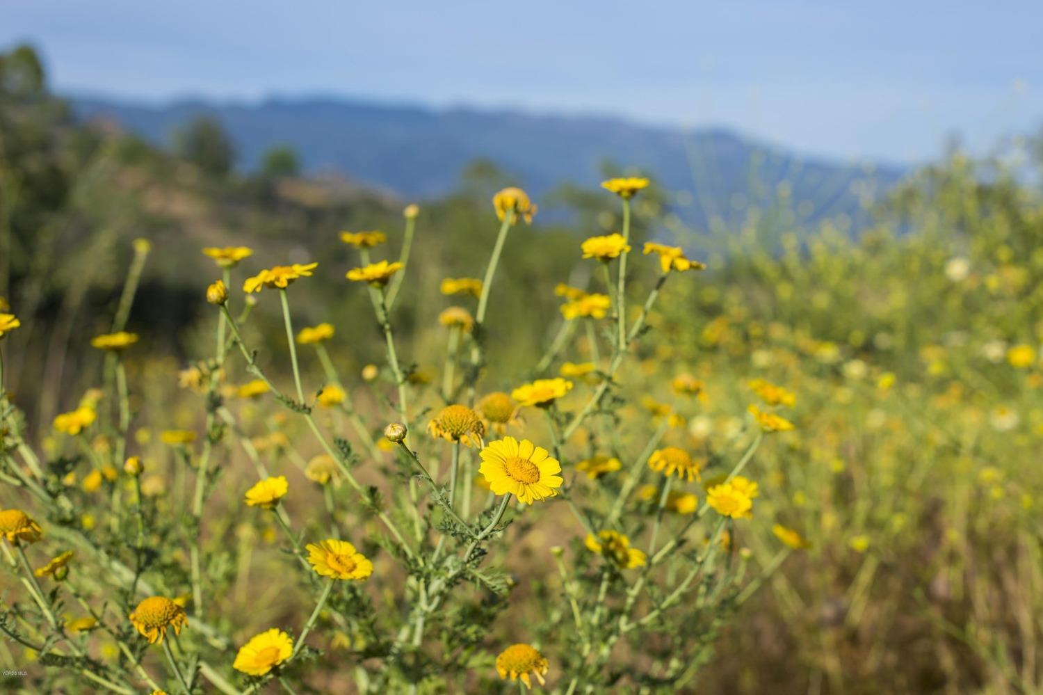 1218 Foothill Road
