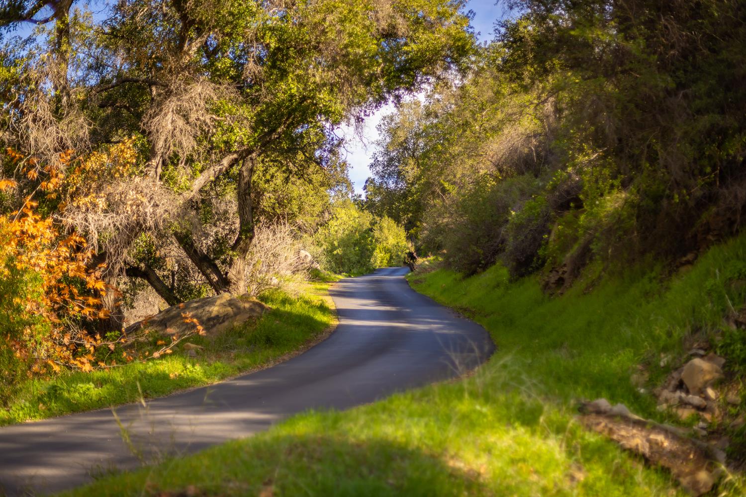 15990 Maricopa Highway