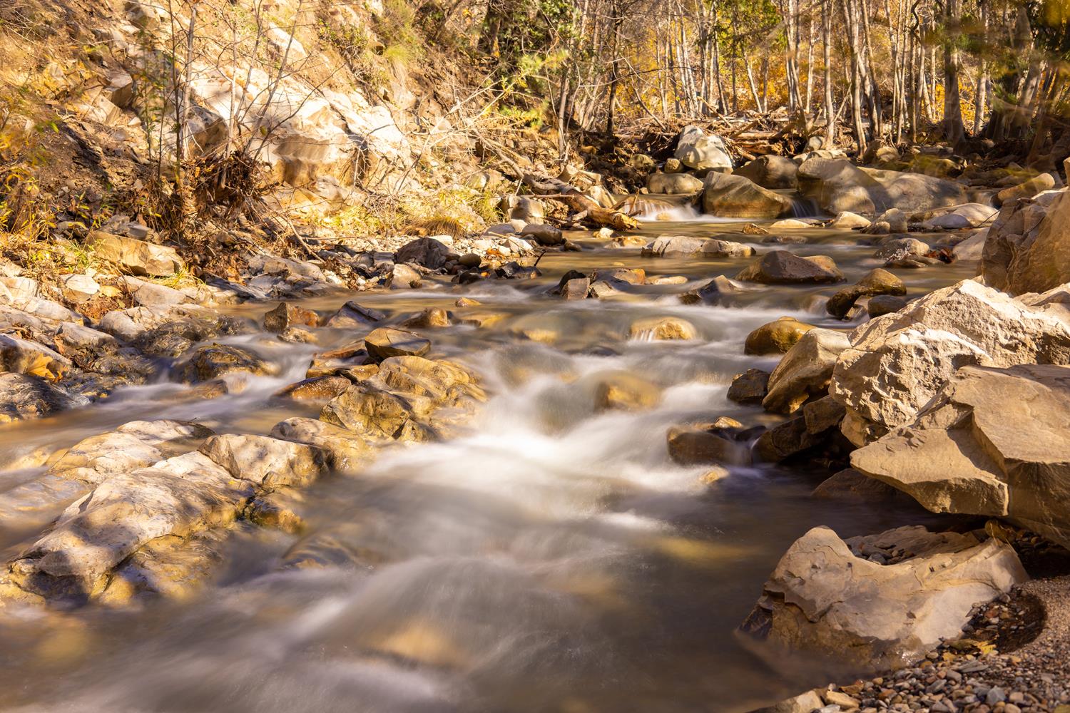 15990 Maricopa Highway