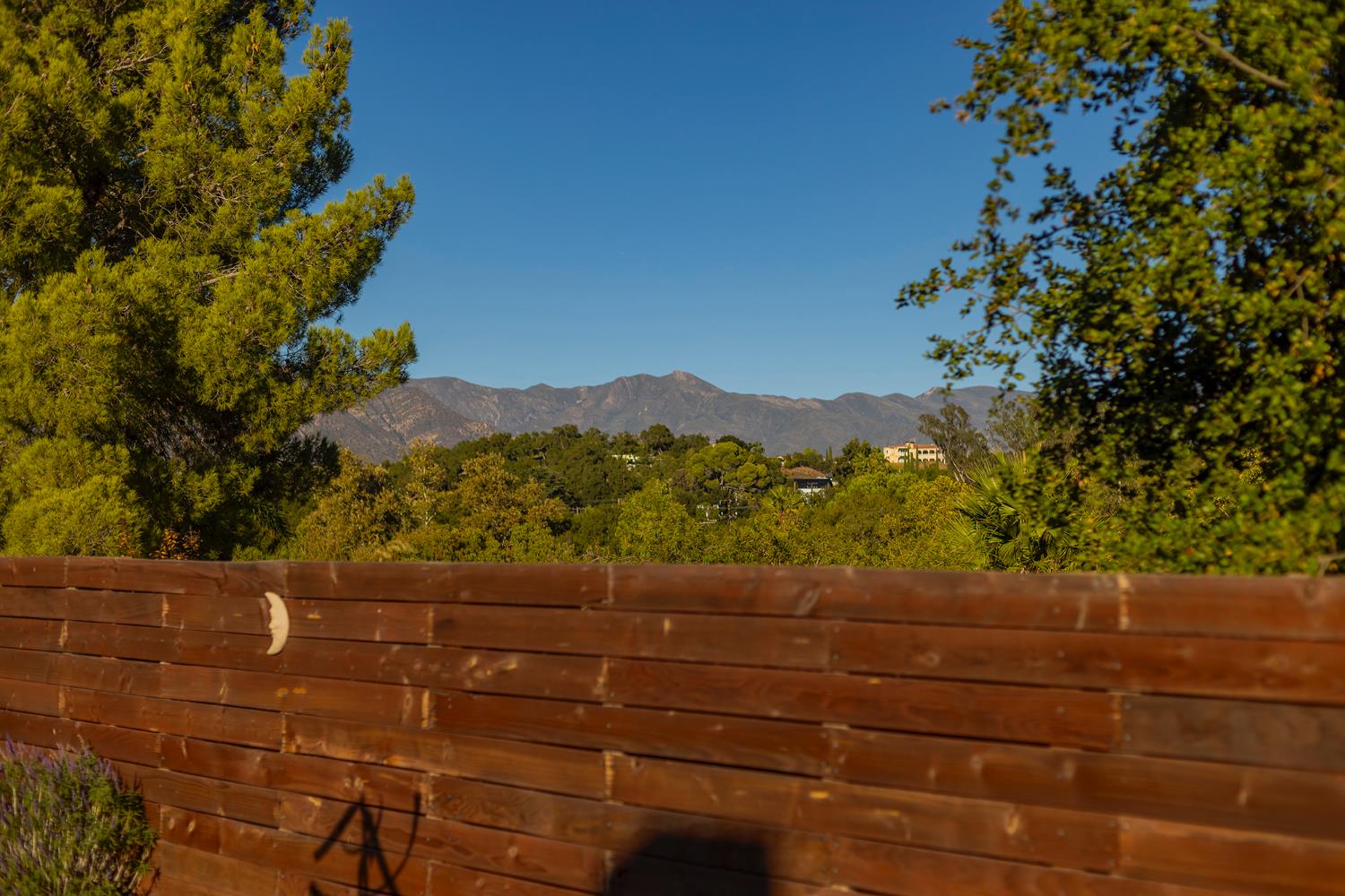 11790 Silver Spur Street