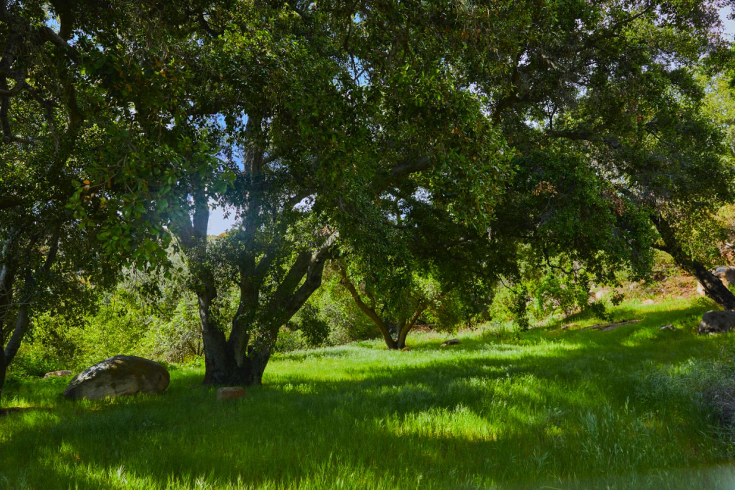 12179 Koenigstein Road