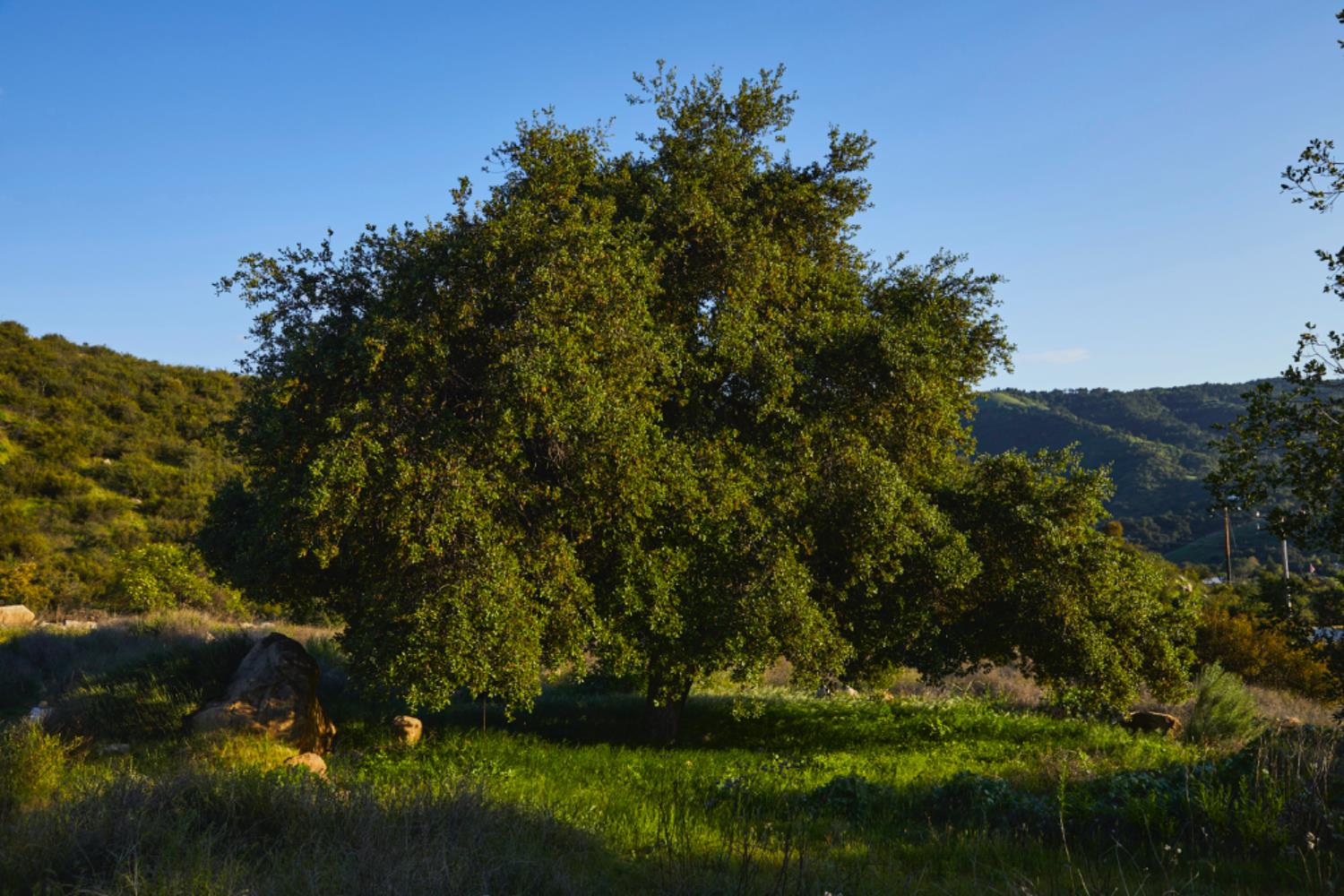 12179 Koenigstein Road