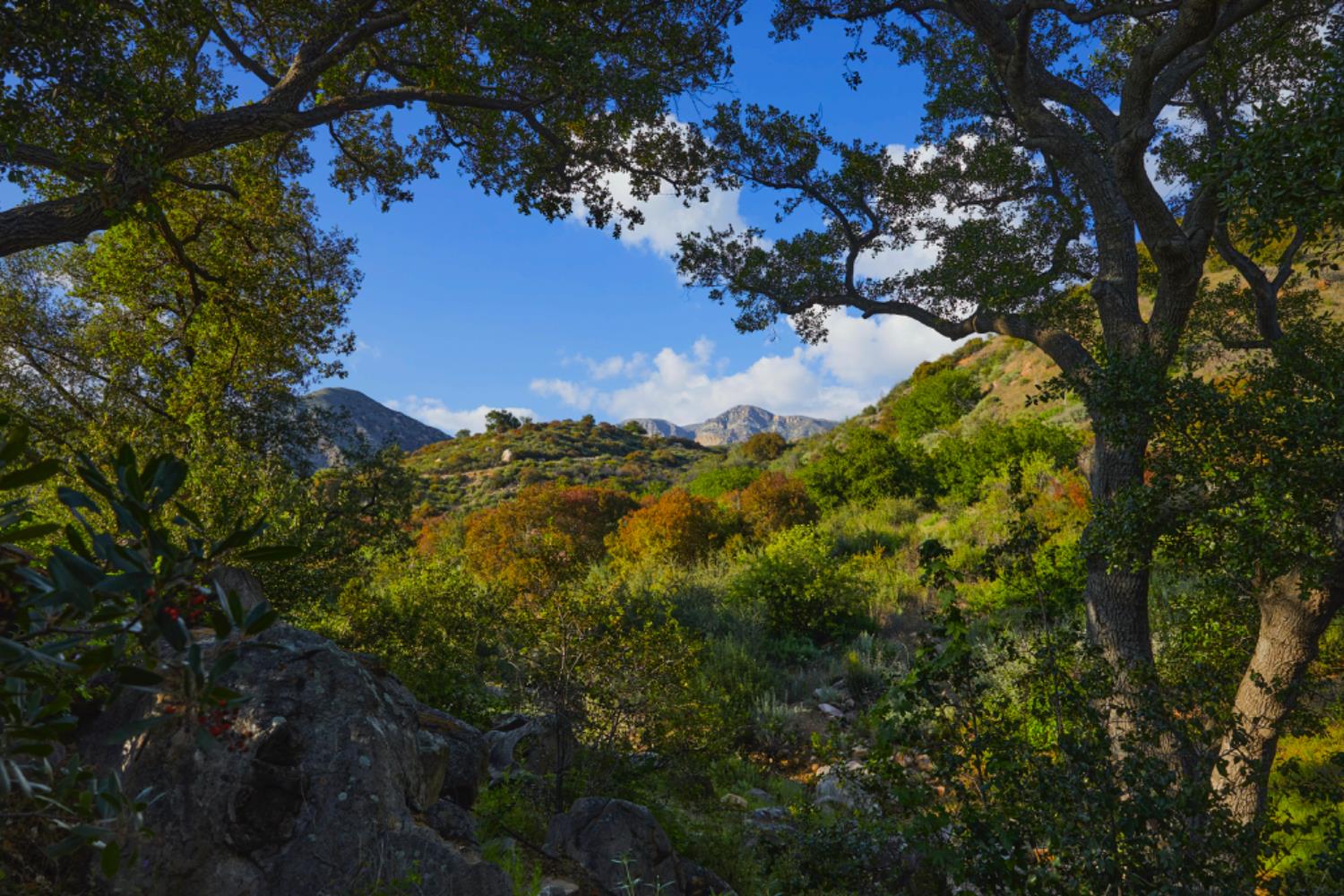 12179 Koenigstein Road