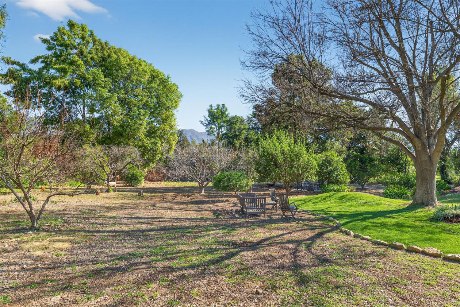 1015 W El Roblar Drive