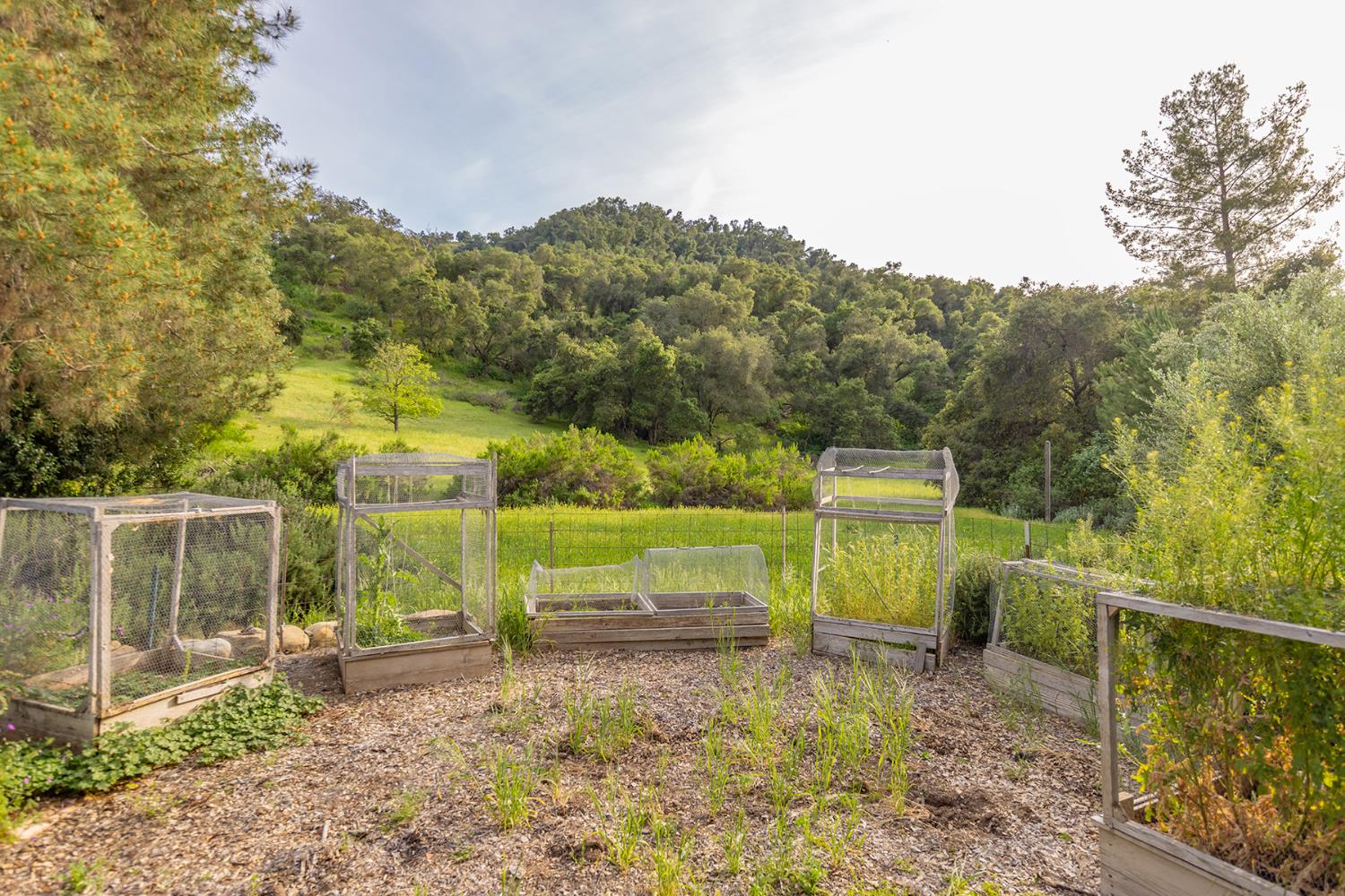 11954 Sulphur Mountian N/A