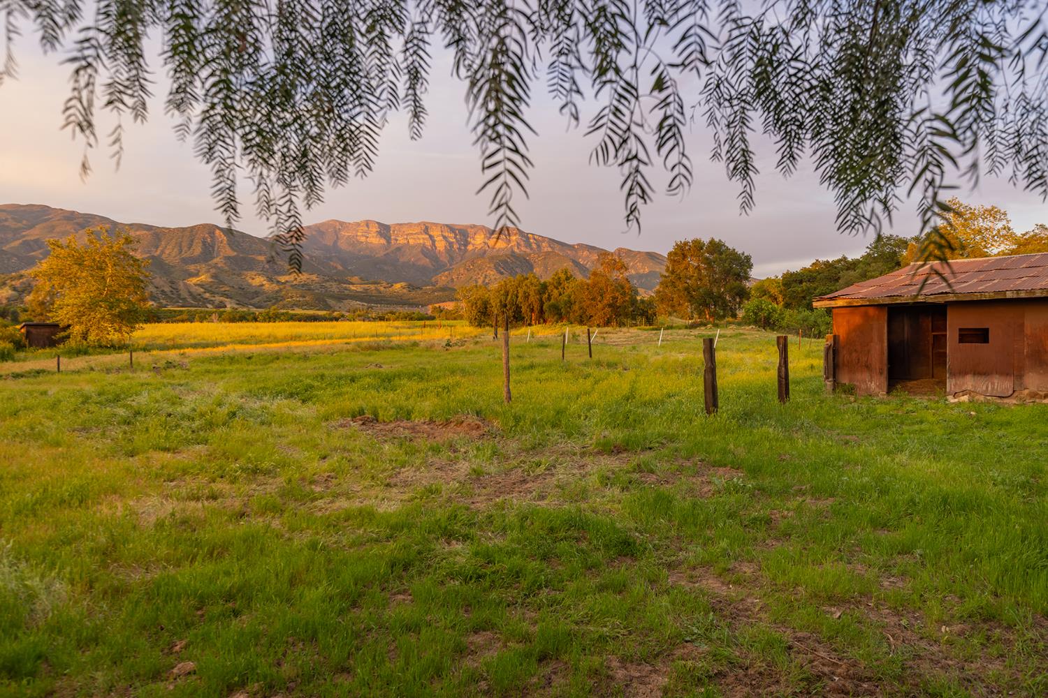 11954 Sulphur Mountian N/A