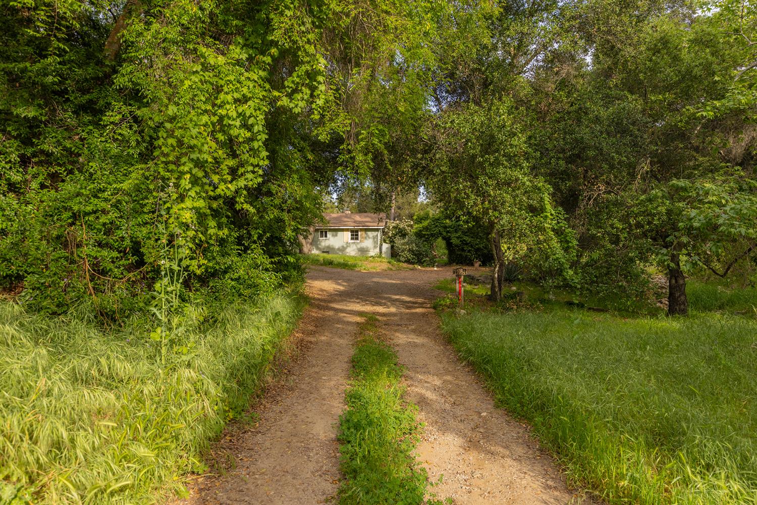 11954 Sulphur Mountian N/A