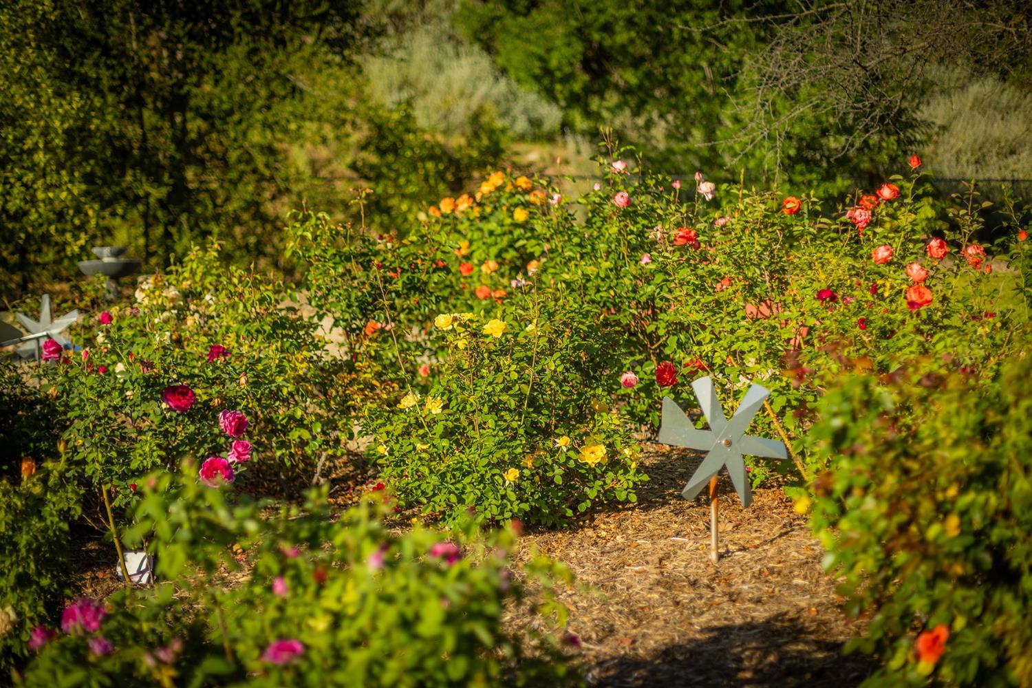 11849 Sulphur Mountain Road