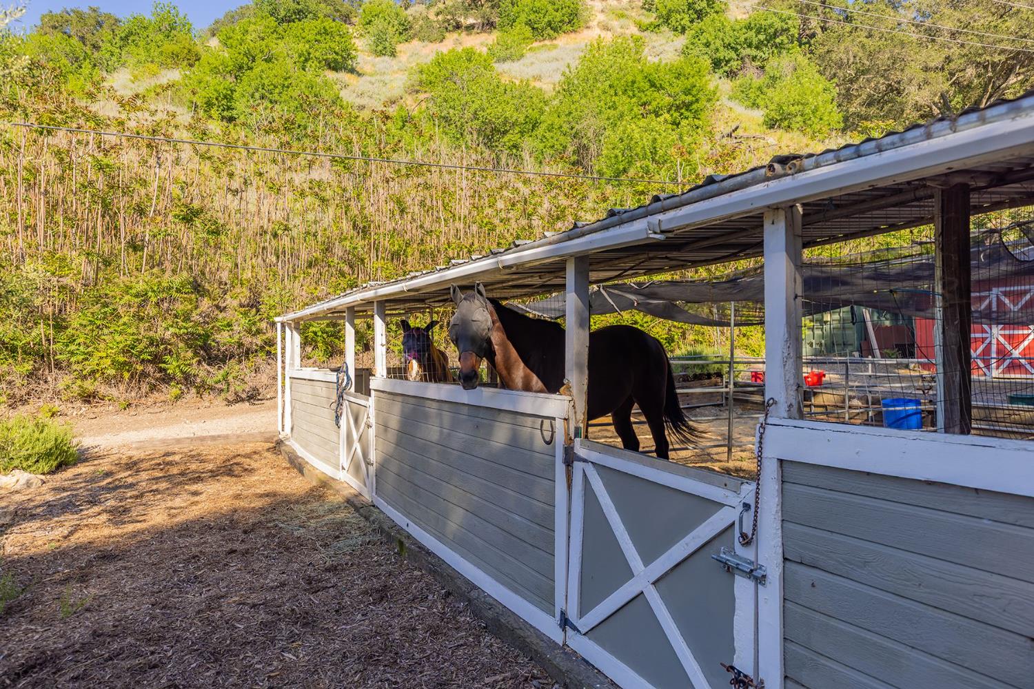 11849 Sulphur Mountain Road