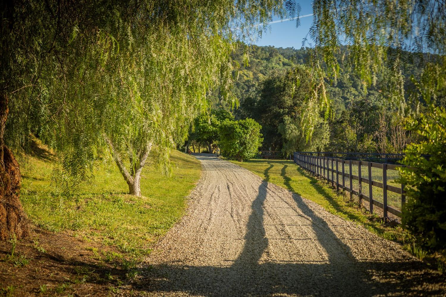 11849 Sulphur Mountain Road