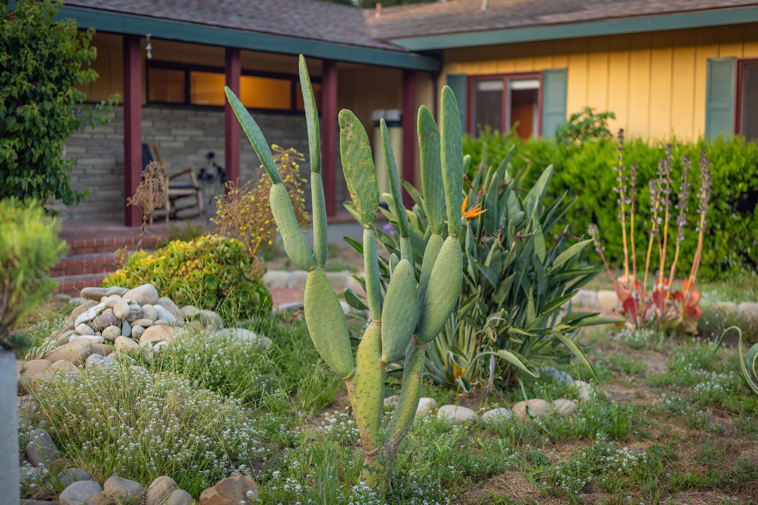 918 El Toro Rd.