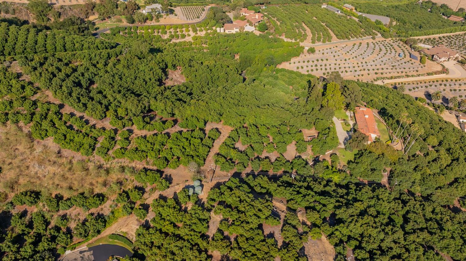 11111 Foothill Road