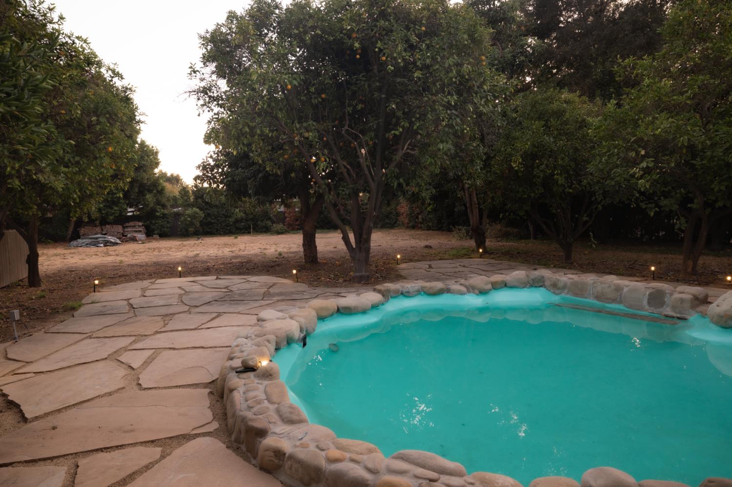 Backyard pool with a stone edge and flagstone patio beneath mature citrus trees.