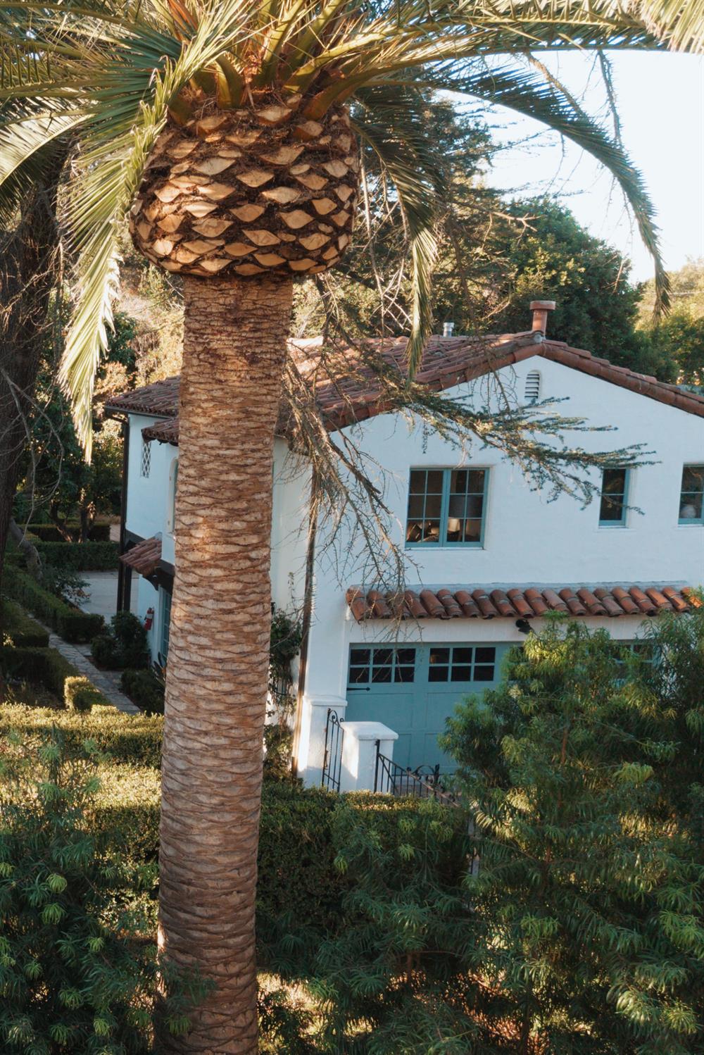 White stucco home with a blue garage door, framed by a tall palm and lush landscaping.