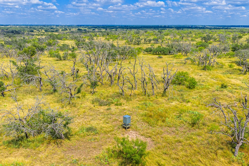 1445 Cave Wells Rd # 15, Fort McKavett Unit: 15