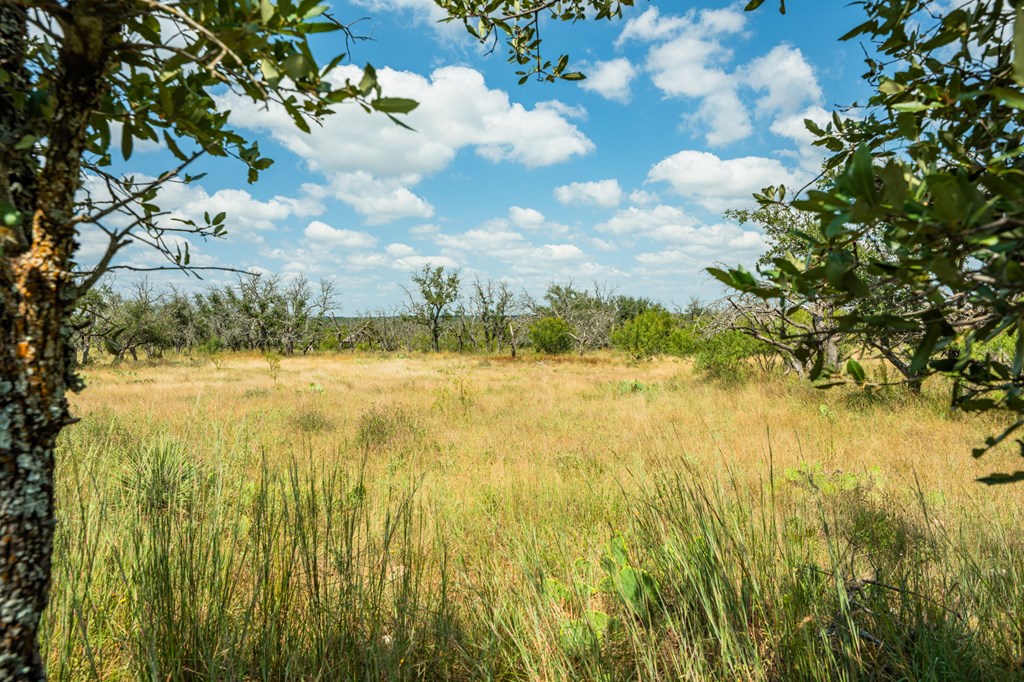 1445 Cave Wells Rd # 15, Fort McKavett Unit: 15