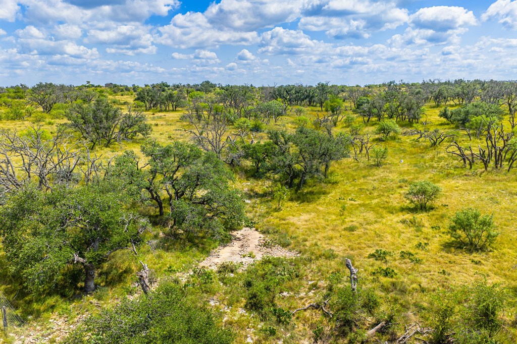 1445 Cave Wells Rd # 15, Fort McKavett Unit: 15