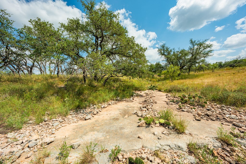 1445 Cave Wells Rd # 15, Fort McKavett Unit: 15