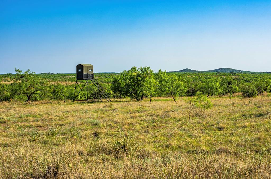 701 County Rd 496