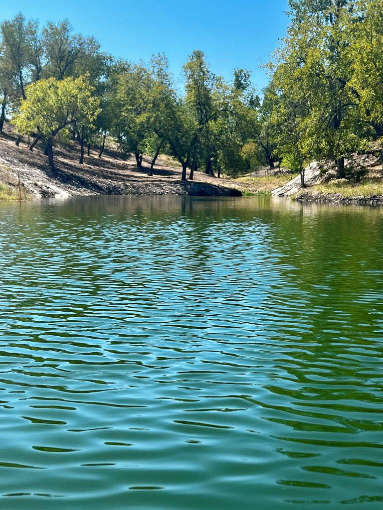 481 Living Water Ranch Rd.