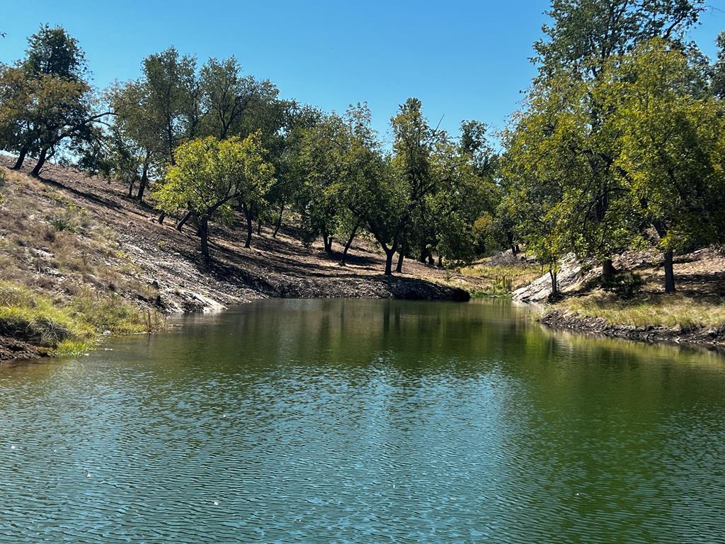 481 Living Water Ranch Rd.
