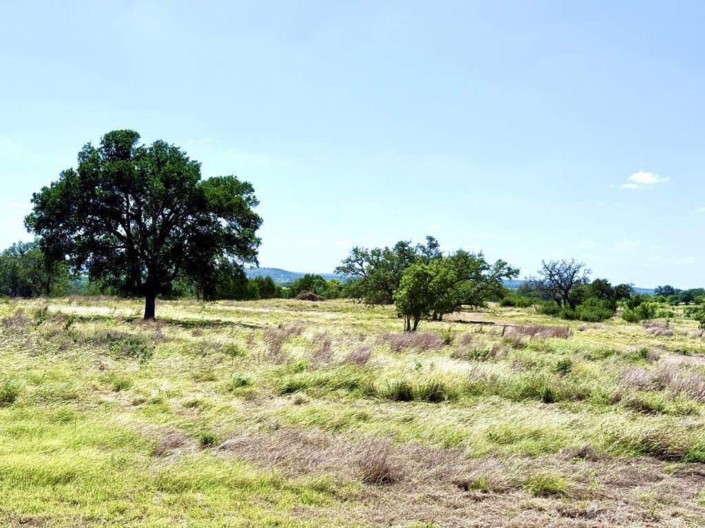Lot 91 Axis Circle # 91