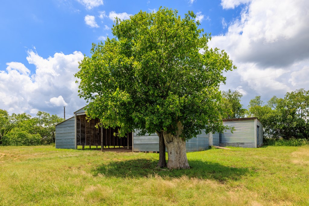 341 River View Rd