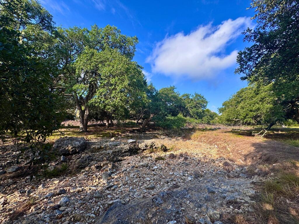 3498 Grape Creek Rd