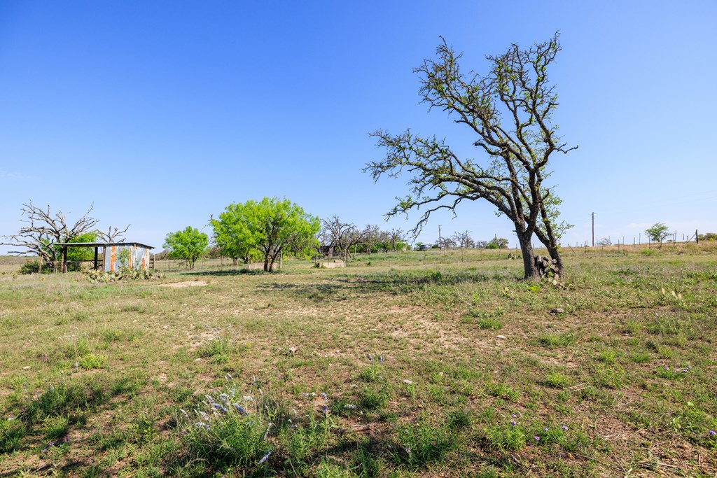 453 Reeves Lane