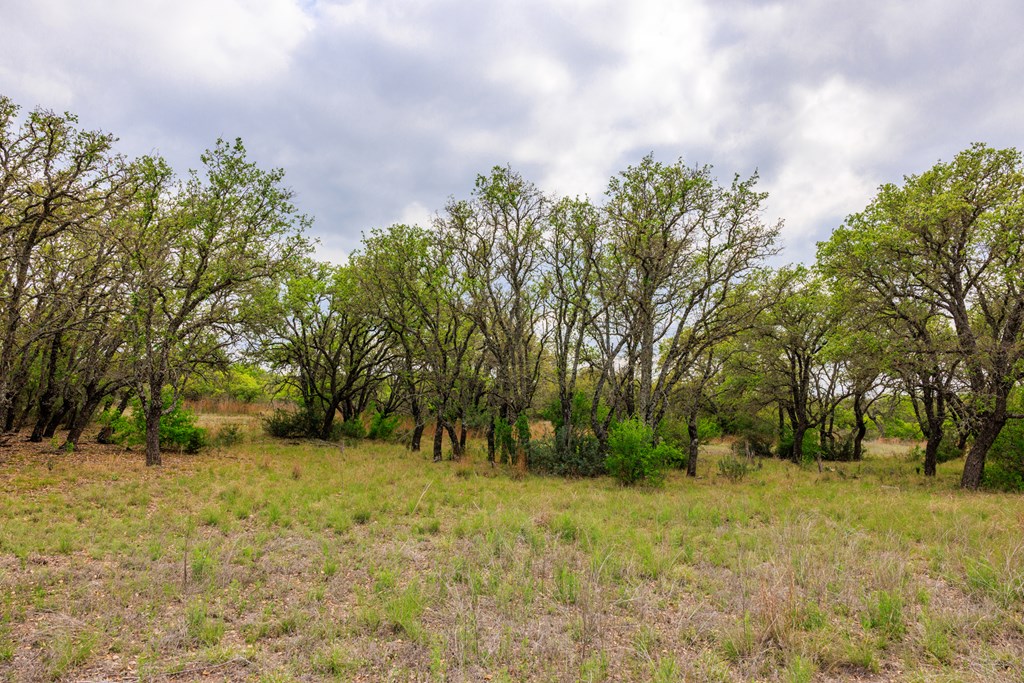 3276 Link Rd 42,43,44