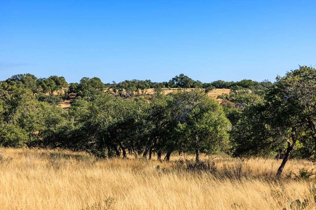 Lot 20 Mayers Ridge Dr