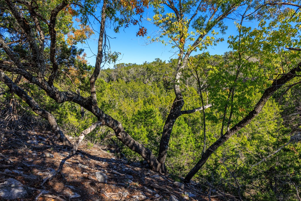 Lot 20 Mayers Ridge Dr