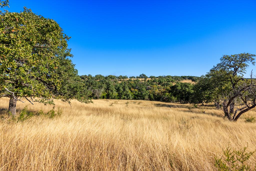 Lot 20 Mayers Ridge Dr