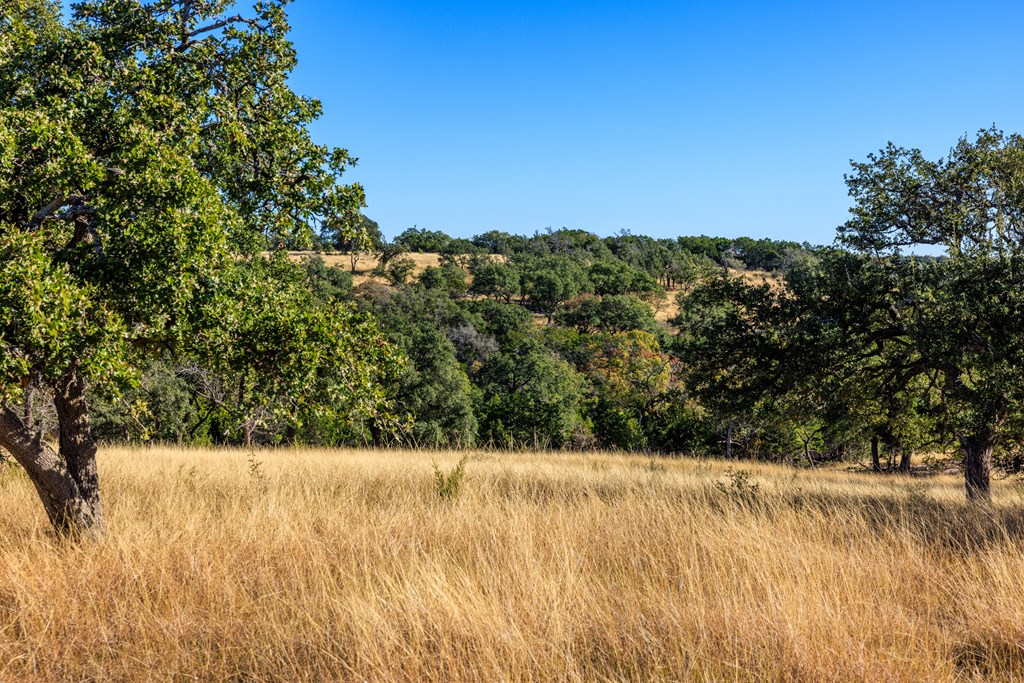 Lot 20 Mayers Ridge Dr