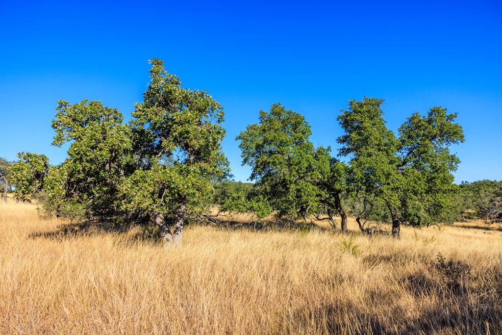 Lot 20 Mayers Ridge Dr